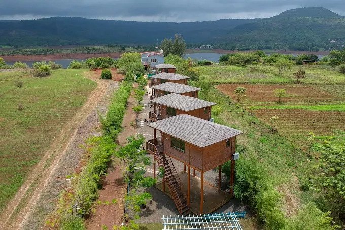 Elevated wooden balcony with forest view
